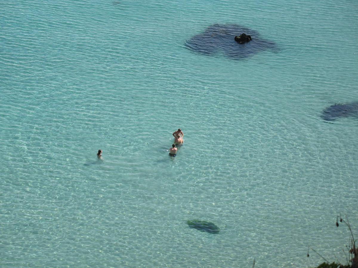 Le Portzic, Appartement Proche Plage De Morgat Crozon Eksteriør bilde